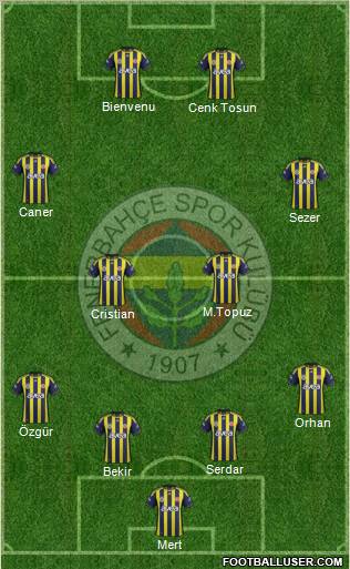 Fenerbahçe SK Formation 2012
