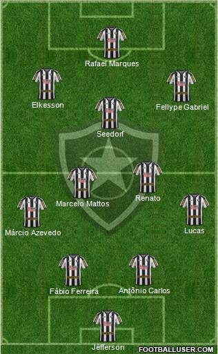 Botafogo FR Formation 2012