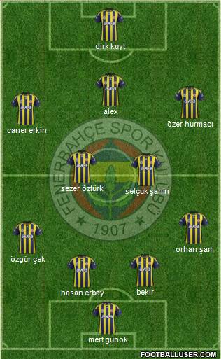 Fenerbahçe SK Formation 2012