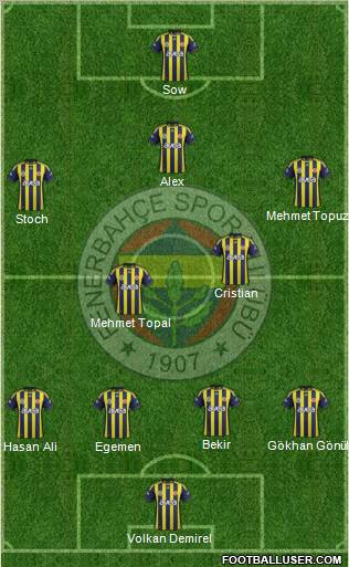 Fenerbahçe SK Formation 2012