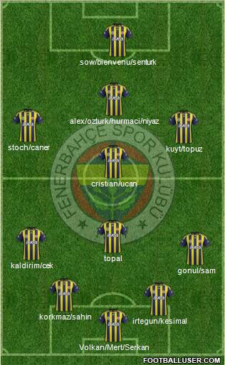 Fenerbahçe SK Formation 2012