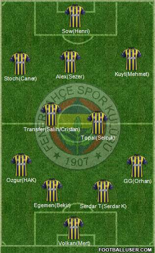 Fenerbahçe SK Formation 2012