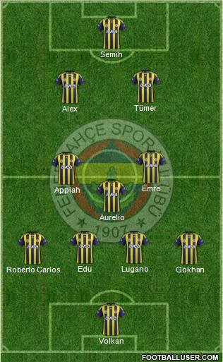 Fenerbahçe SK Formation 2012