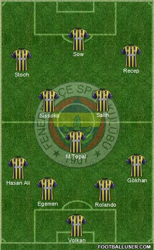 Fenerbahçe SK Formation 2012