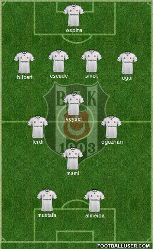 Besiktas JK Formation 2012