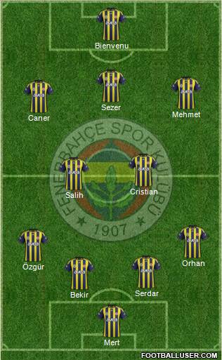 Fenerbahçe SK Formation 2012