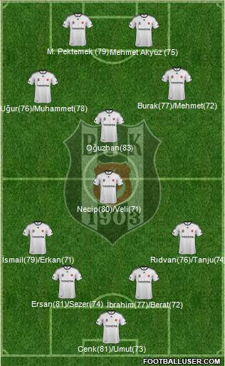 Besiktas JK Formation 2012
