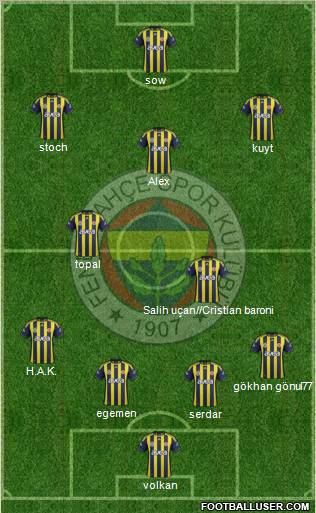 Fenerbahçe SK Formation 2012