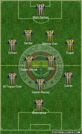 Fenerbahçe SK Formation 2012