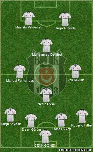 Besiktas JK Formation 2012