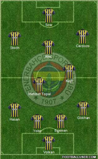 Fenerbahçe SK Formation 2012