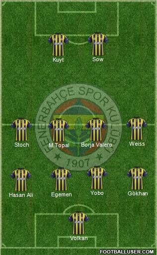 Fenerbahçe SK Formation 2012