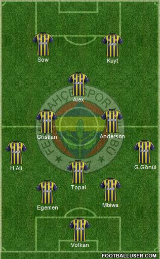 Fenerbahçe SK Formation 2012