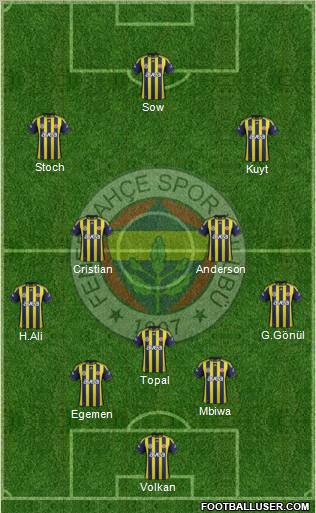 Fenerbahçe SK Formation 2012