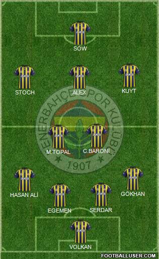 Fenerbahçe SK Formation 2012