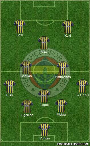 Fenerbahçe SK Formation 2012