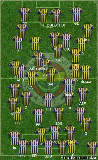 Fenerbahçe SK Formation 2012