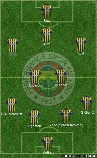 Fenerbahçe SK Formation 2012