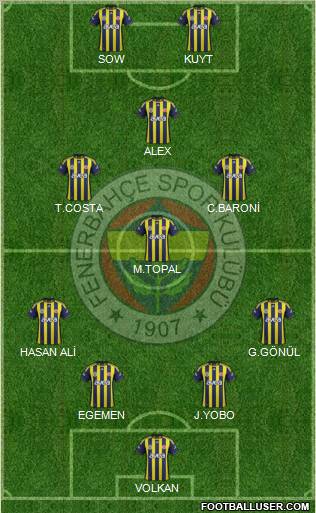 Fenerbahçe SK Formation 2012