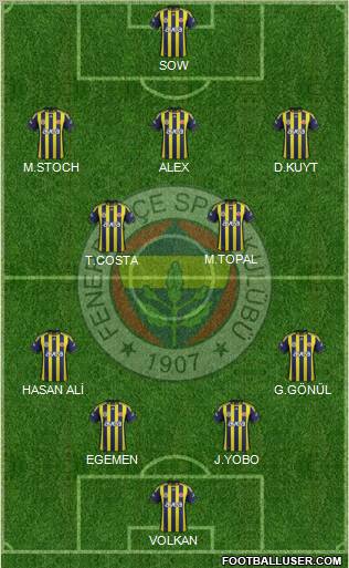 Fenerbahçe SK Formation 2012