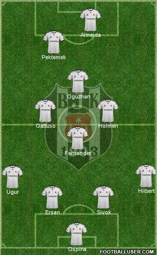 Besiktas JK Formation 2012