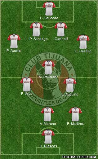 Xoloitzcuintles de Tijuana Formation 2012