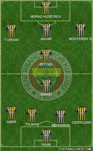 Fenerbahçe SK Formation 2012