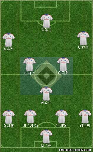Hamburger SV Formation 2012