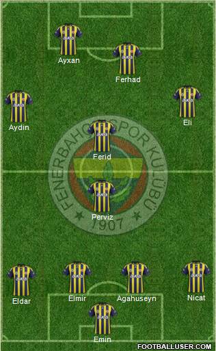 Fenerbahçe SK Formation 2012