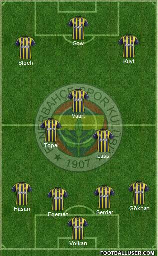 Fenerbahçe SK Formation 2012