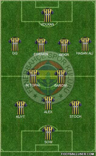Fenerbahçe SK Formation 2012