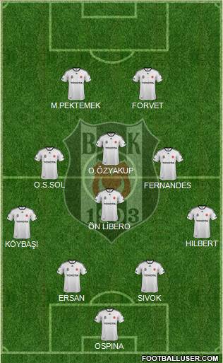 Besiktas JK Formation 2012