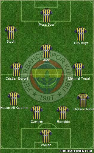 Fenerbahçe SK Formation 2012