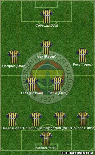 Fenerbahçe SK Formation 2012