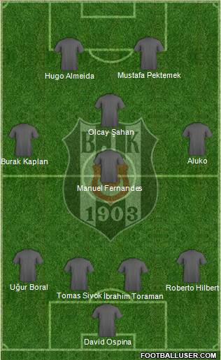 Besiktas JK Formation 2012