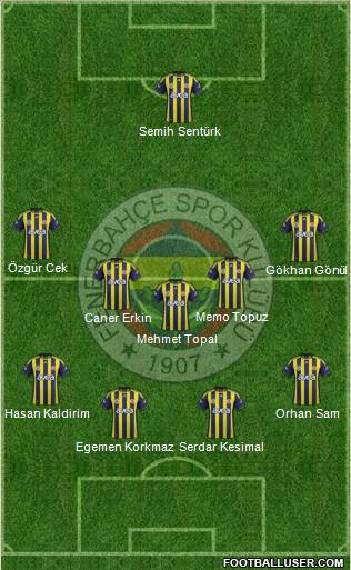 Fenerbahçe SK Formation 2012