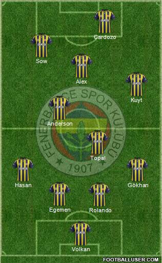 Fenerbahçe SK Formation 2012