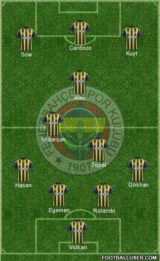 Fenerbahçe SK Formation 2012