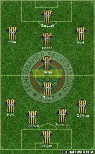 Fenerbahçe SK Formation 2012