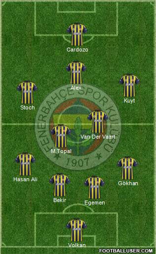 Fenerbahçe SK Formation 2012