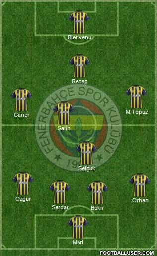 Fenerbahçe SK Formation 2012