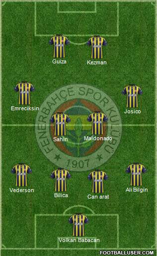 Fenerbahçe SK Formation 2012
