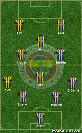Fenerbahçe SK Formation 2012