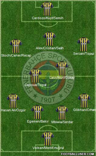 Fenerbahçe SK Formation 2012