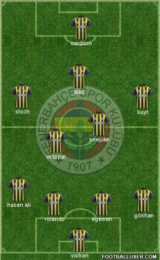 Fenerbahçe SK Formation 2012