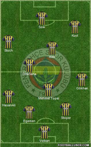 Fenerbahçe SK Formation 2012