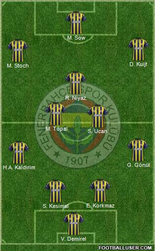 Fenerbahçe SK Formation 2012
