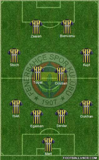 Fenerbahçe SK Formation 2012