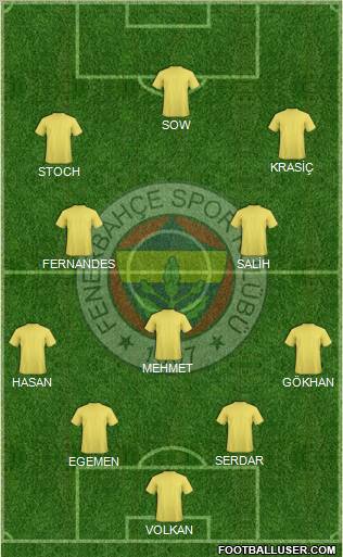 Fenerbahçe SK Formation 2012