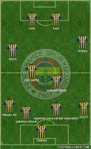 Fenerbahçe SK Formation 2012